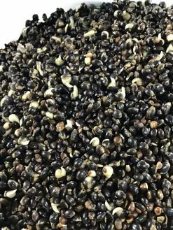 Hengelsport De Poorter Klaargemaakt Kempzaad 5kg (zak)