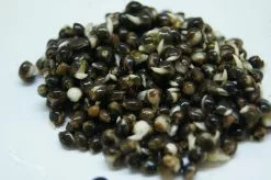 Captura Cooked Particles Hemp - Kemp Zaad