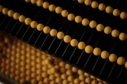 Forgotten Flavours Scopex Squid Pop-ups -Exporteren Topkits winkel 2893101250