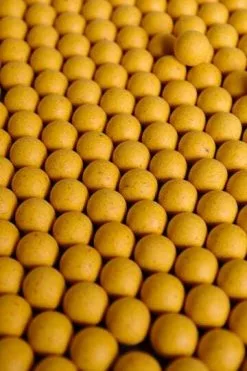 Forgotten Flavours Cassien Classics Pop-ups -Exporteren Topkits winkel 2893114528