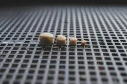 Sonubaits Pro Expander Pellets -Exporteren Topkits winkel 2943071890