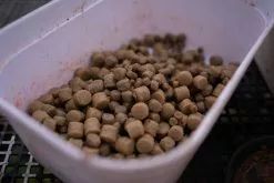 Sonubaits Pro Expander Pellets -Exporteren Topkits winkel 2943077874